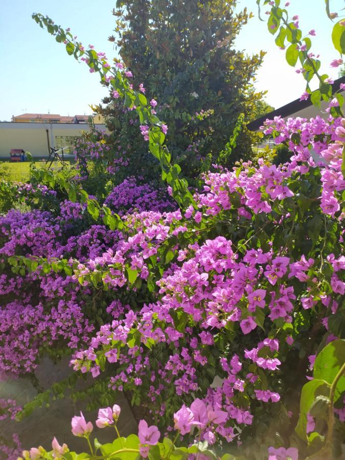 B&B Villa La Bouganville Camaiore Buitenkant foto