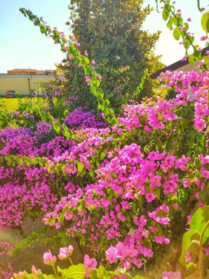 B&B Villa La Bouganville Camaiore Buitenkant foto