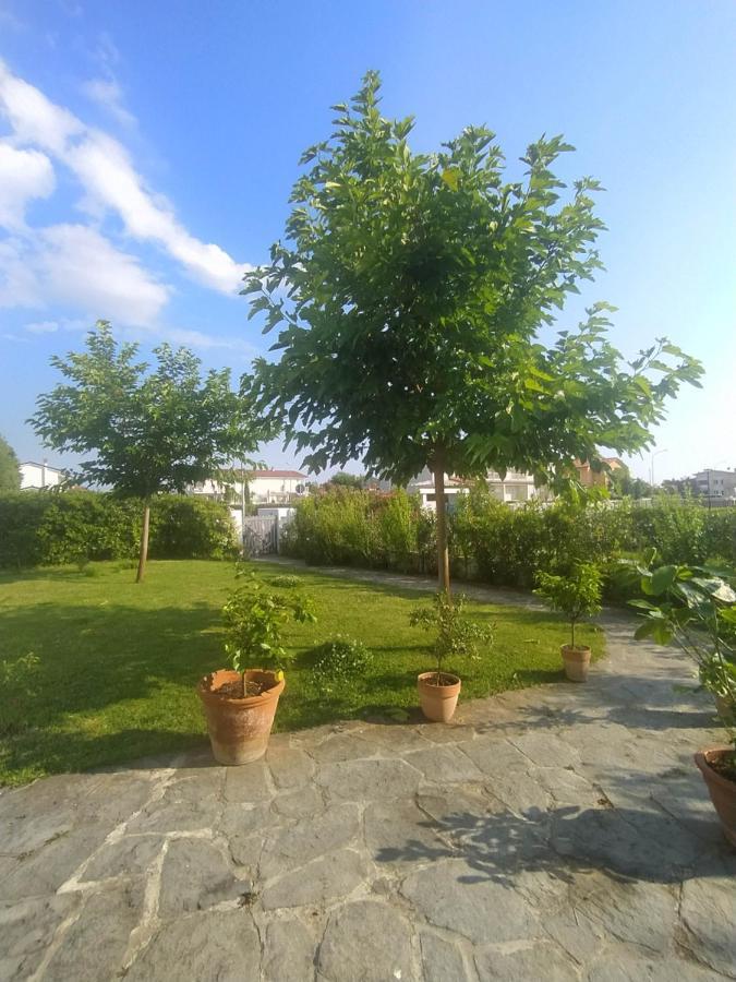 B&B Villa La Bouganville Camaiore Buitenkant foto