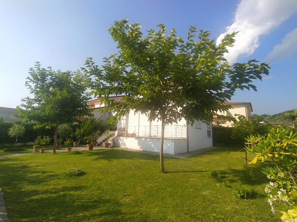 B&B Villa La Bouganville Camaiore Buitenkant foto