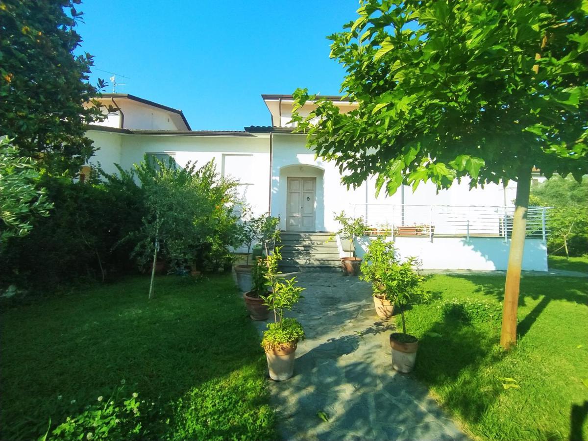 B&B Villa La Bouganville Camaiore Buitenkant foto