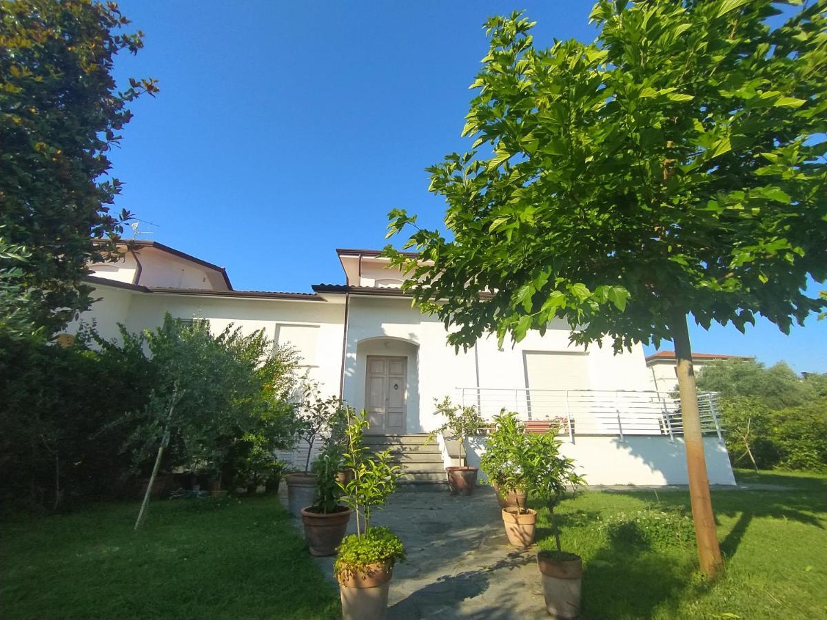 B&B Villa La Bouganville Camaiore Buitenkant foto