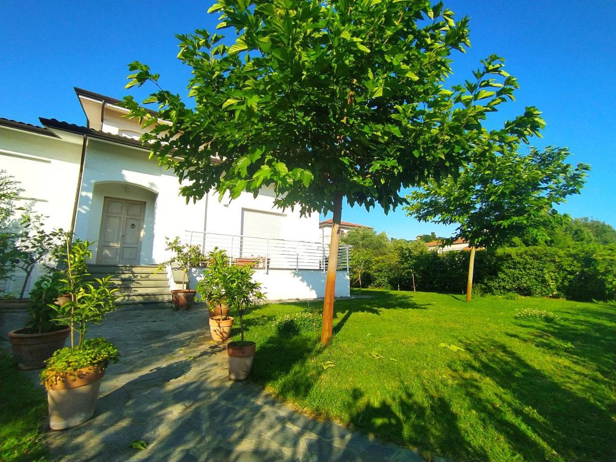 B&B Villa La Bouganville Camaiore Buitenkant foto
