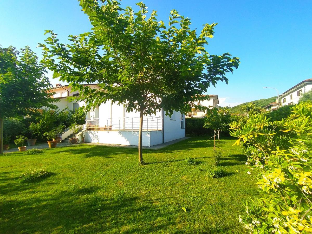 B&B Villa La Bouganville Camaiore Buitenkant foto