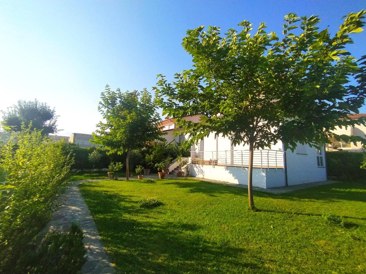 B&B Villa La Bouganville Camaiore Buitenkant foto