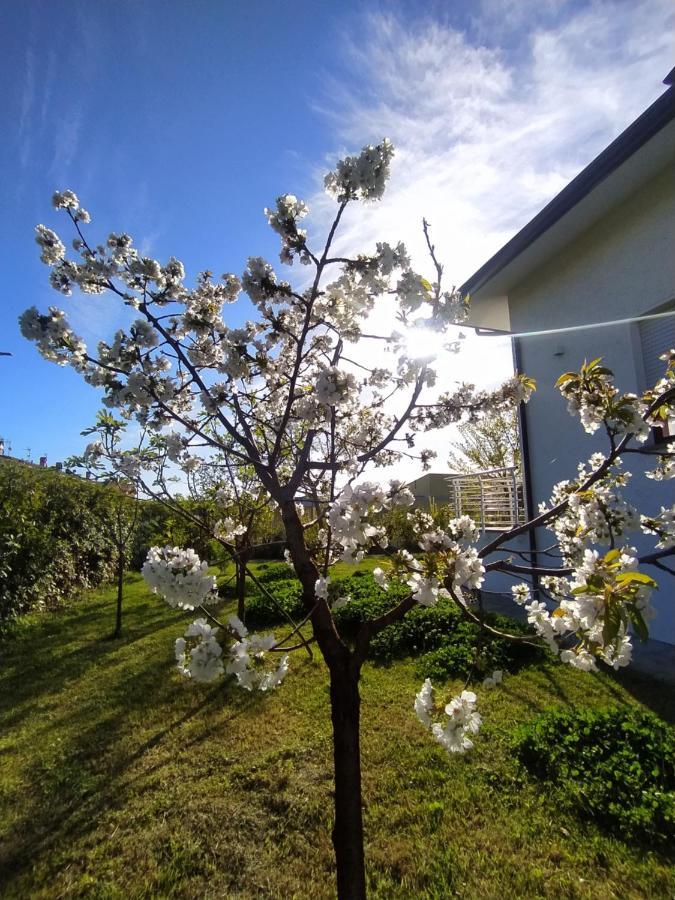 B&B Villa La Bouganville Camaiore Buitenkant foto