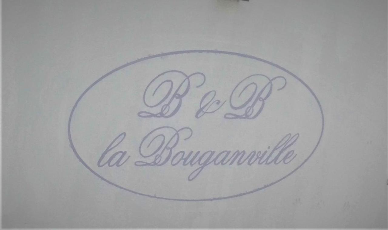B&B Villa La Bouganville Camaiore Buitenkant foto